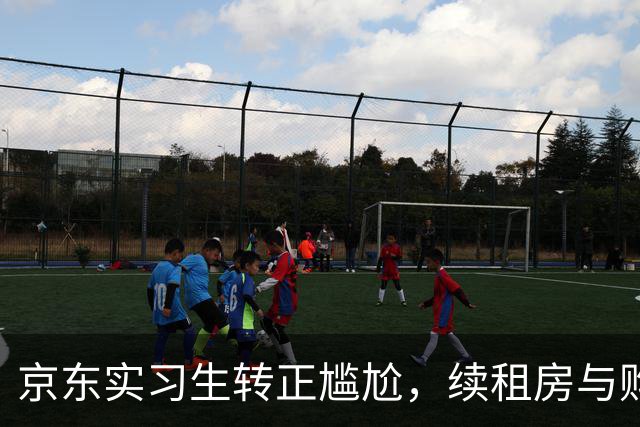 京东实习生转正尴尬，续租房与购车终成泡影